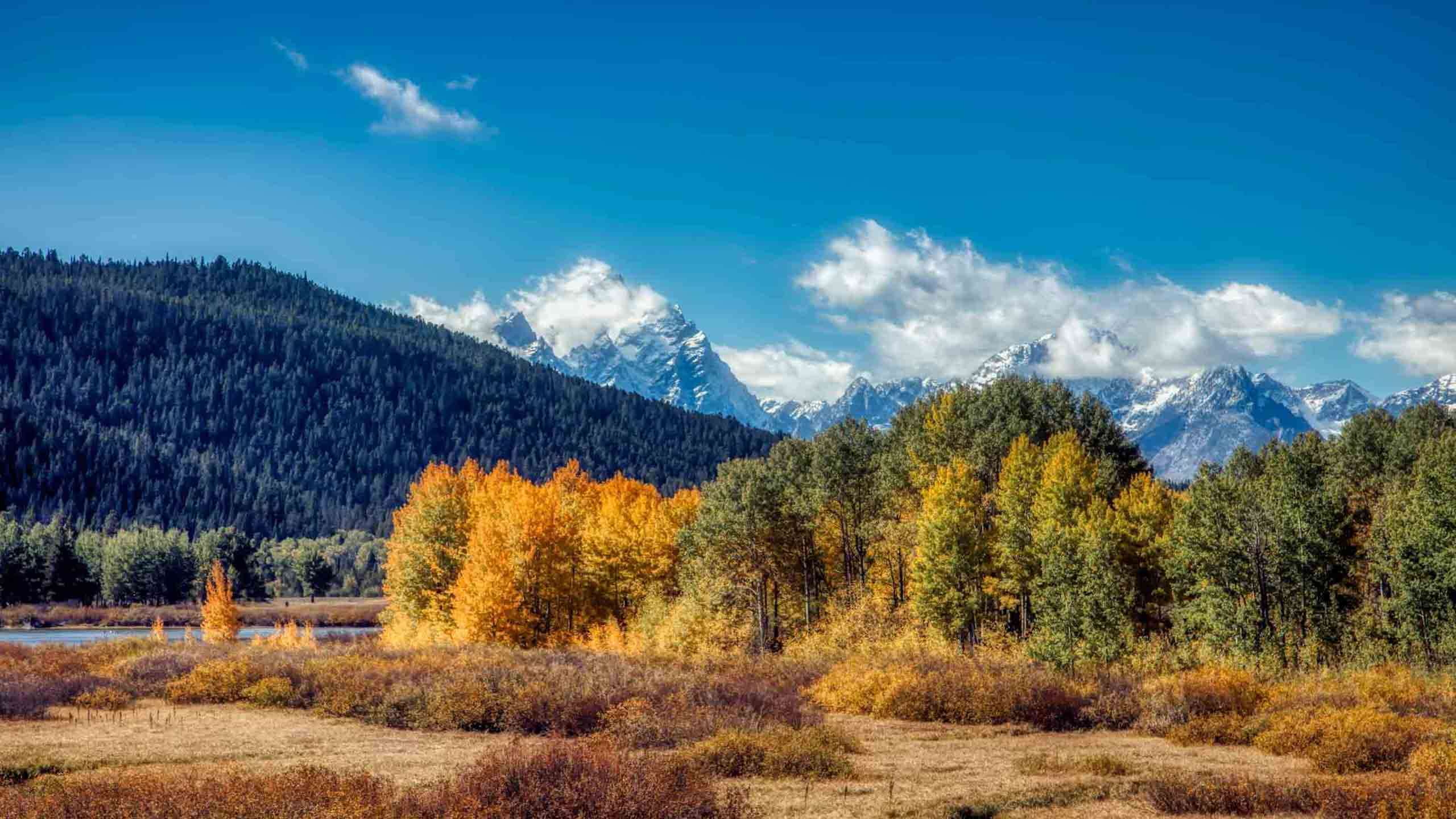 Deluxe Yellowstone and Grand Teton National Parks 8D7N, Private Guided