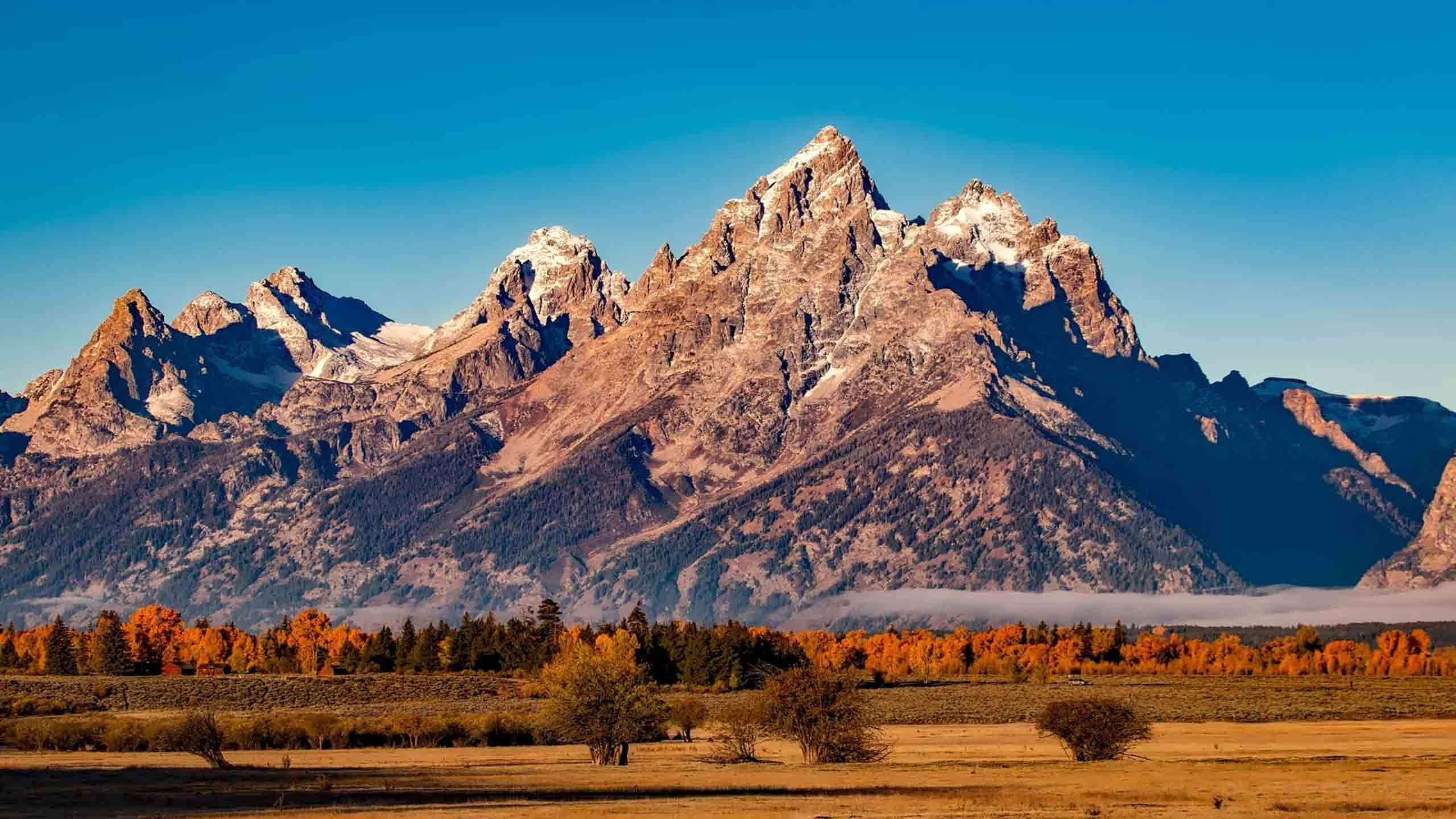 Yellowstone and Grand Teton National Parks 8D7N, Fully Guided