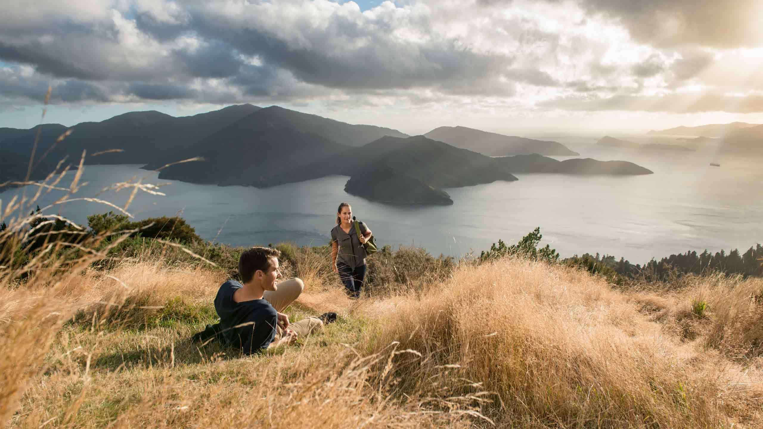 Queen Charlotte Track Classic Walk 4D3N, Fully Guided