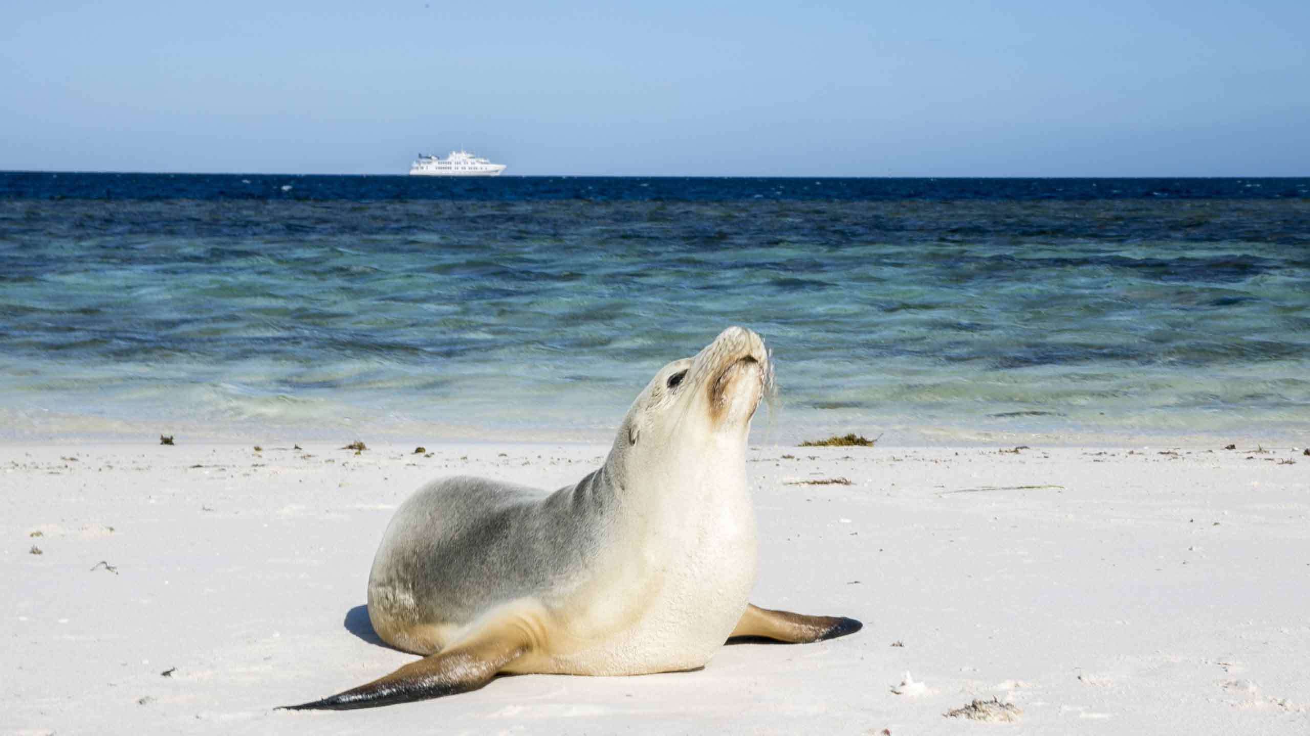 West Coast Ningaloo Reef Explorer 11D10N (Fremantle - Dampier)