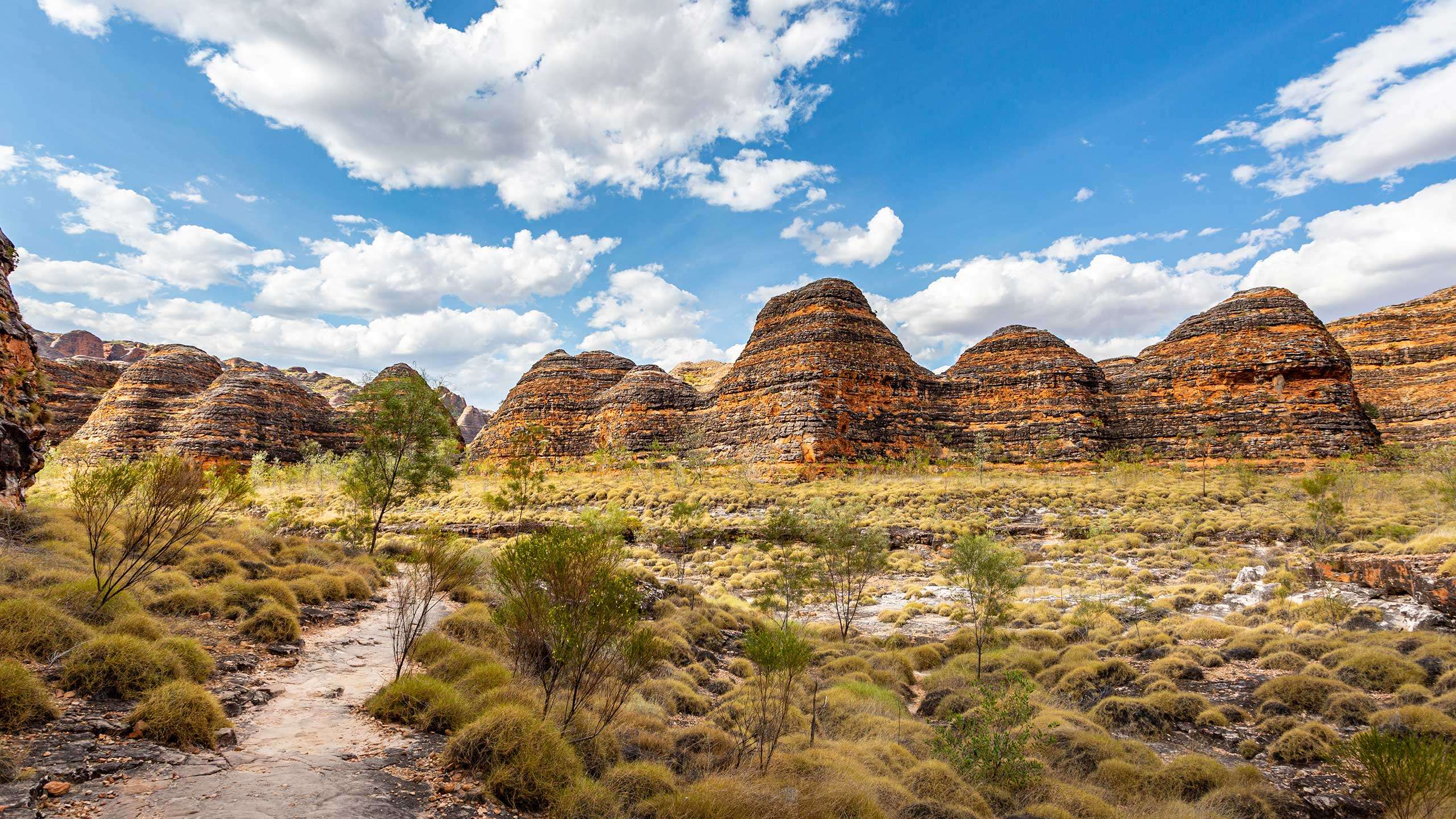 Wild Kimberley Broome to the Bungles 5D4N, Fully Guided & Camping in Comfort