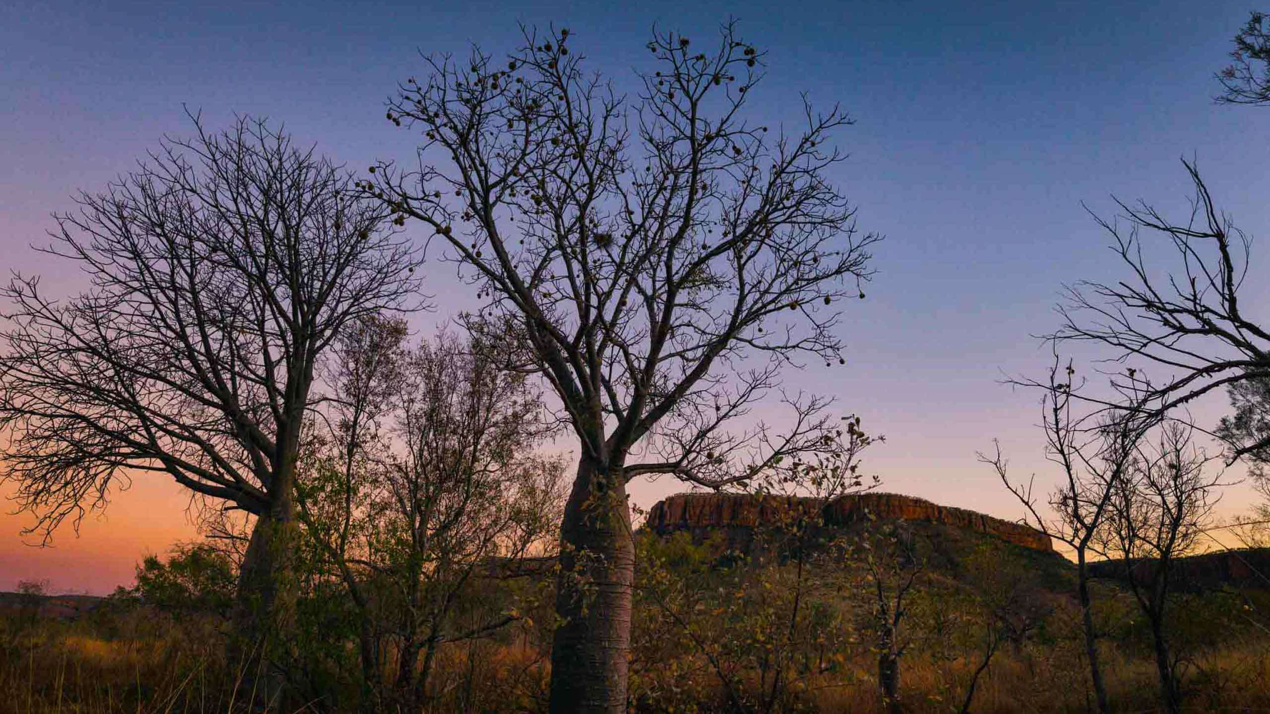 Wild Kimberley Loop 12D11N (Broome - Broome), Fully Guided & Camping in Comfort