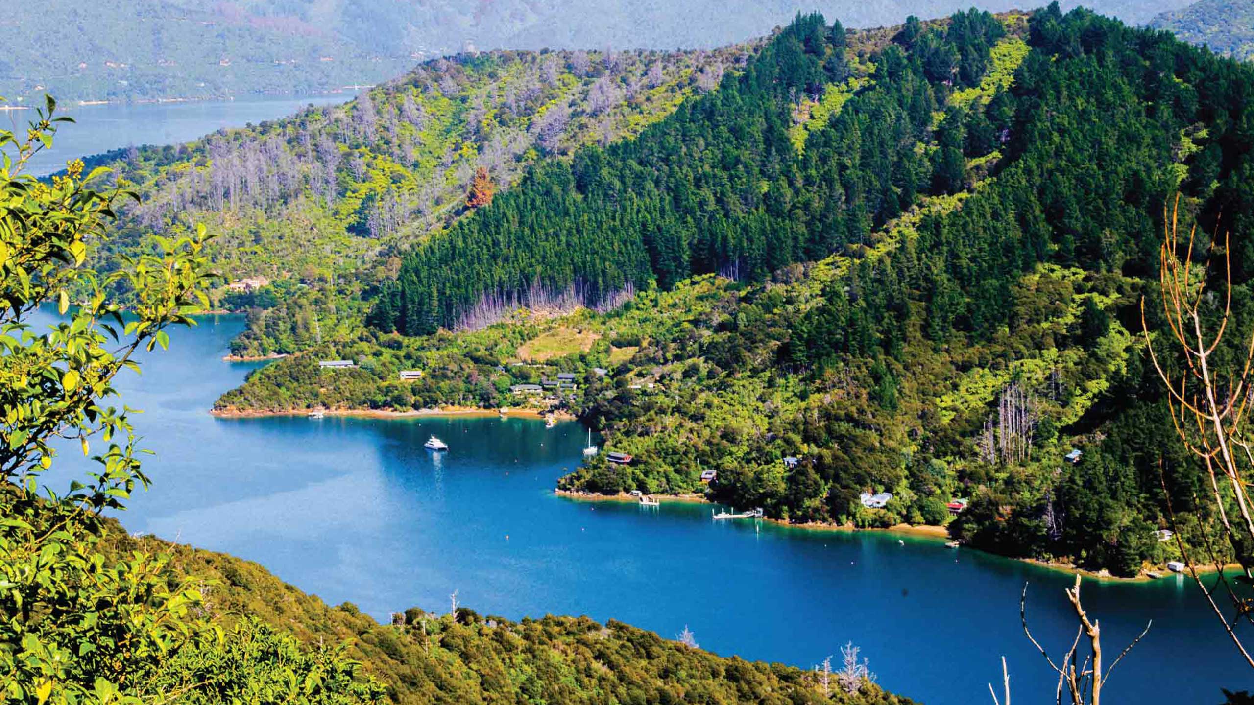 Queen-Charlotte-walk-picton-new-zealand-marlborough