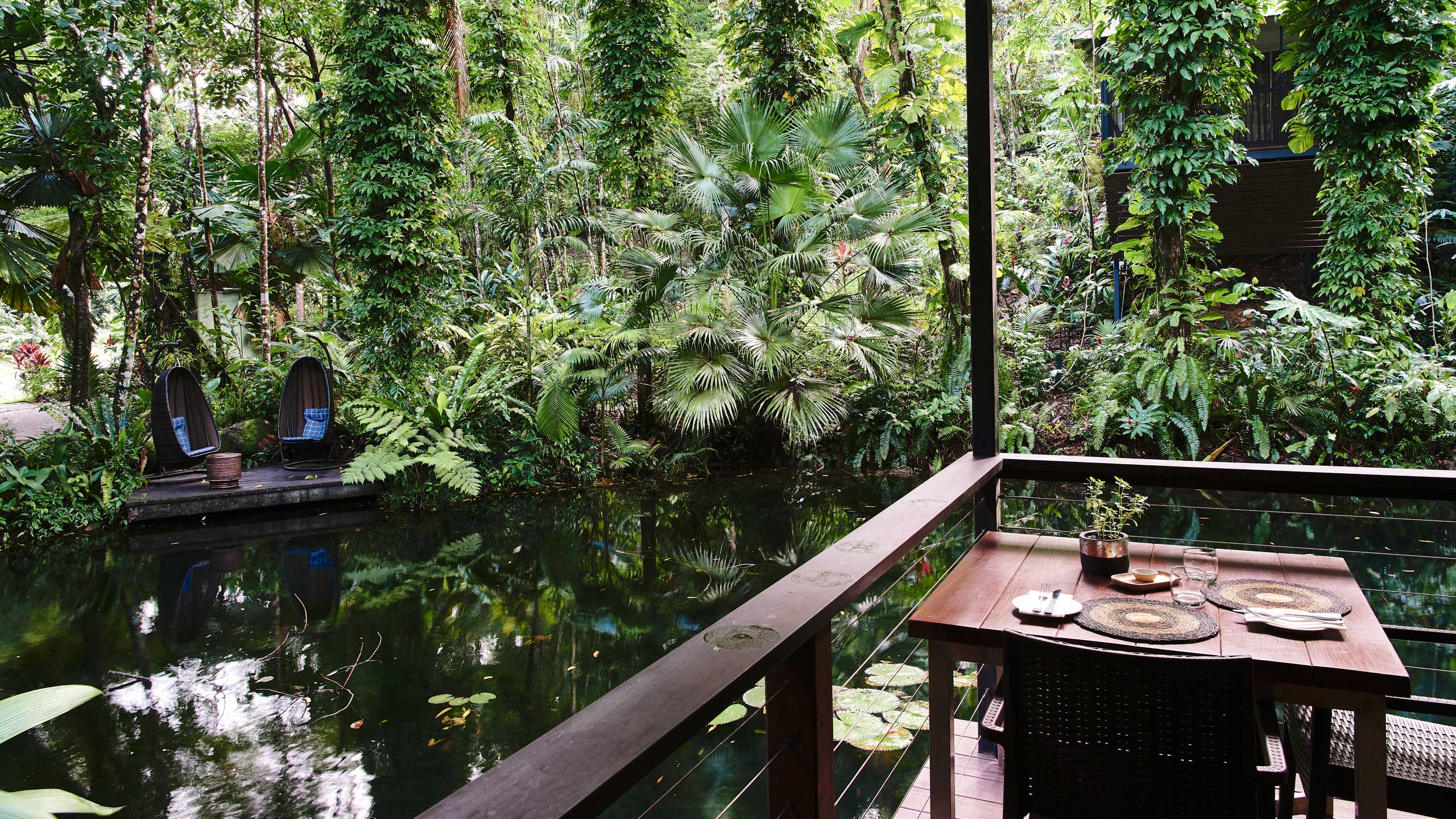 daintree-ecolodge-queelsand-accommodation-dining