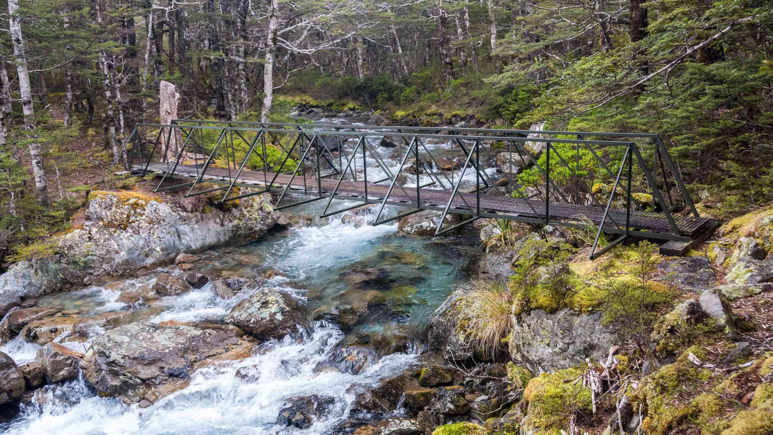 nelson-lakes-national-park