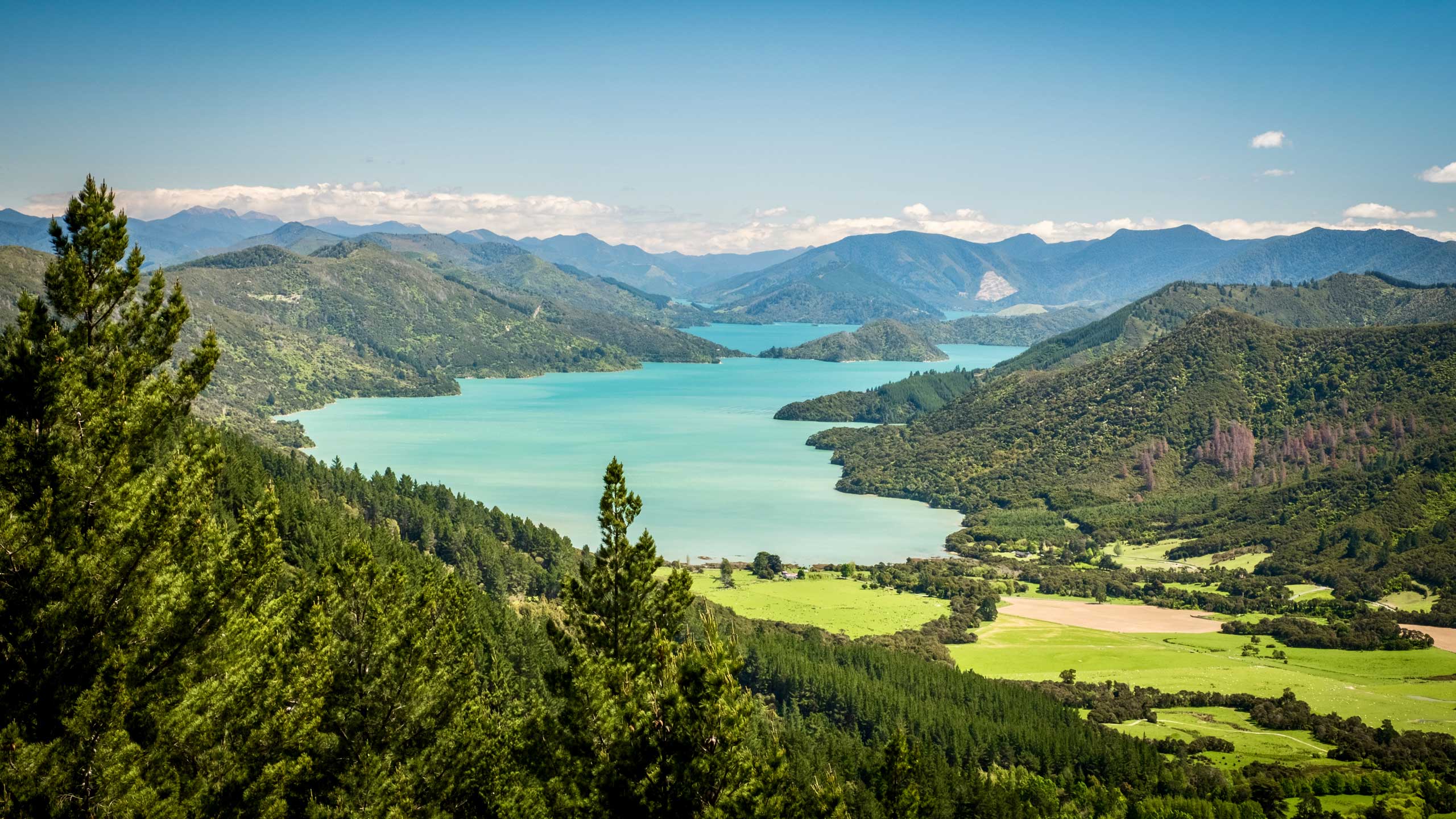 queen-charlotte-sound-marlborough-sounds-new-zealand