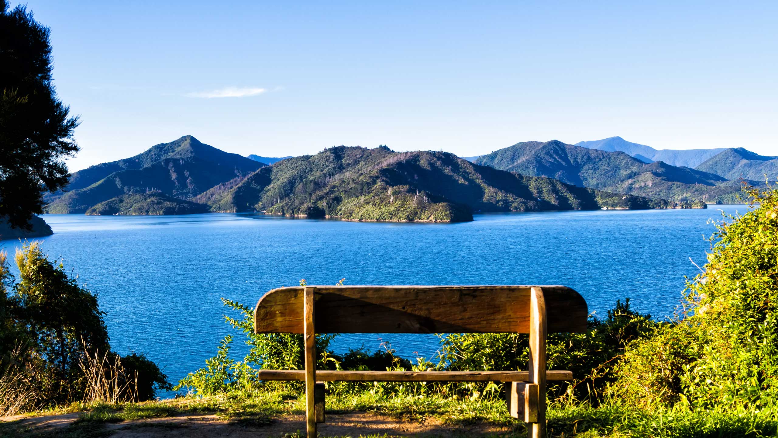 views-of-bays-in-queencharlotte-sound-new-zealand