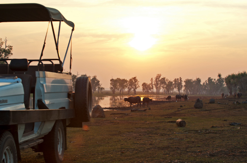 Bamurru-Plains-Safari-4WD