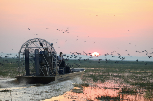 Bamurru-Plains-airboat