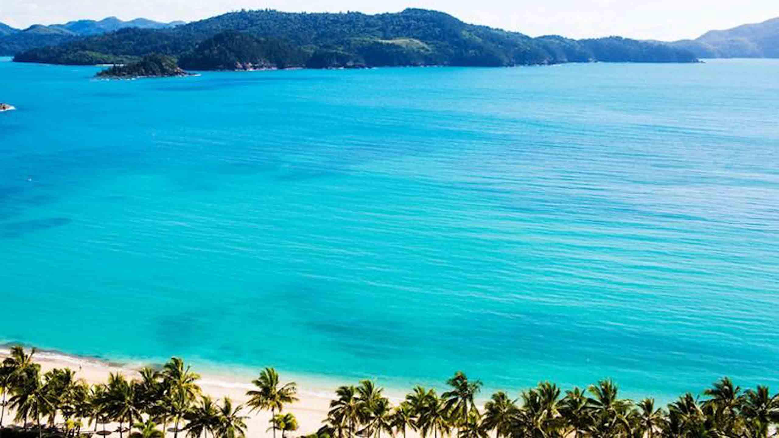 hamilton-island-whitsundays-Catseye-Beach-aerial