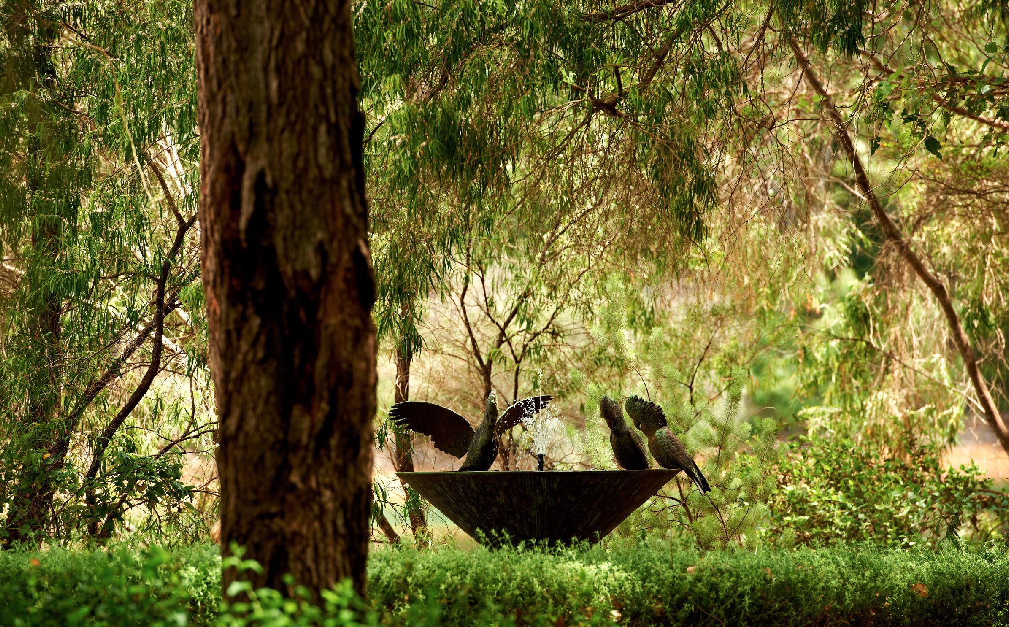 cape-lodge-luxury-accommodation-australia