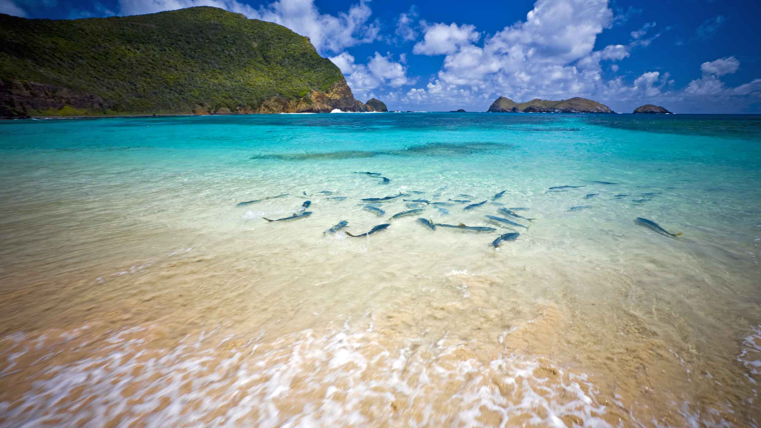 lord-howe-island-beach-australia