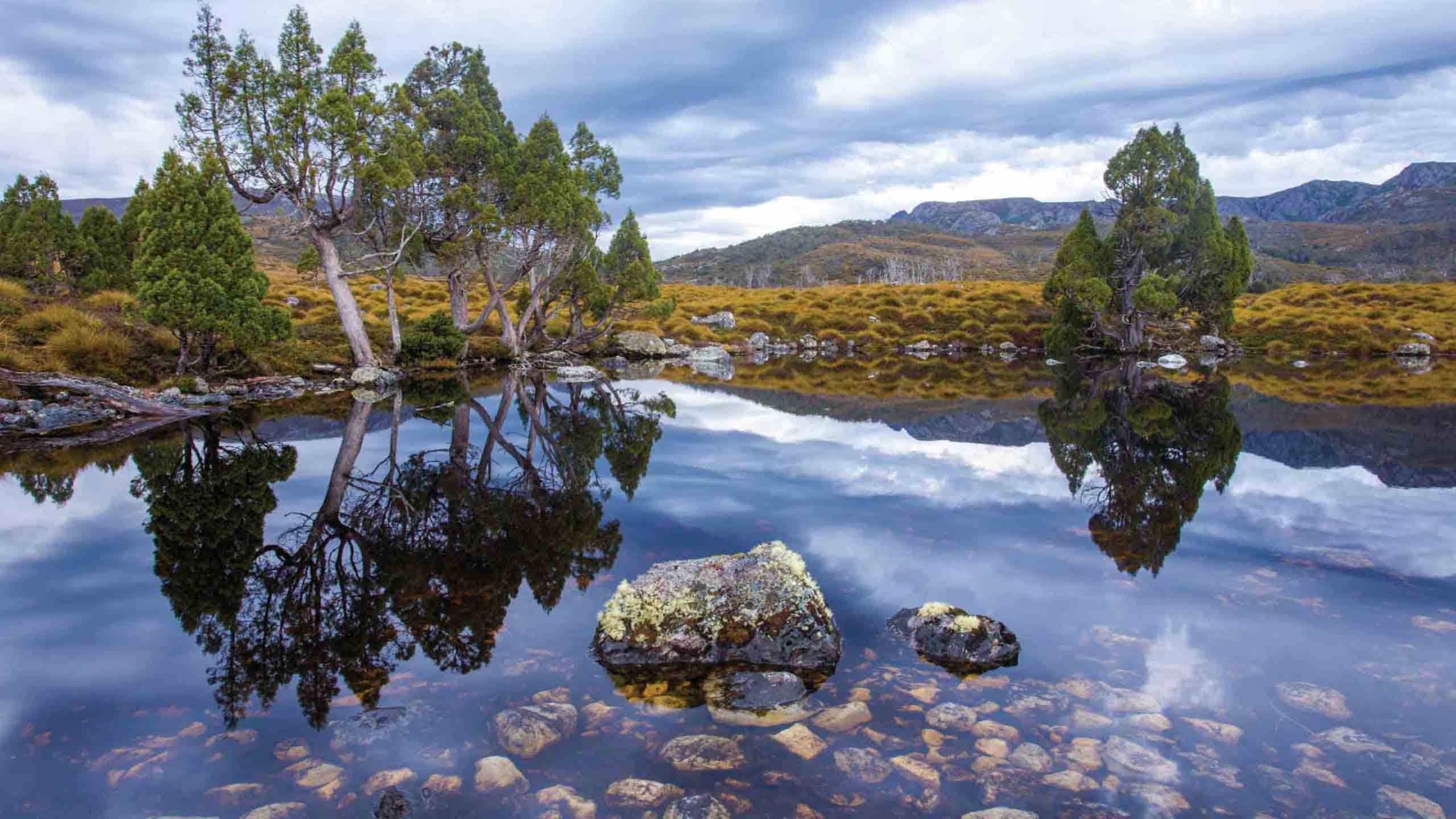 cradle-mountain-hike-overland-tasmania-australia