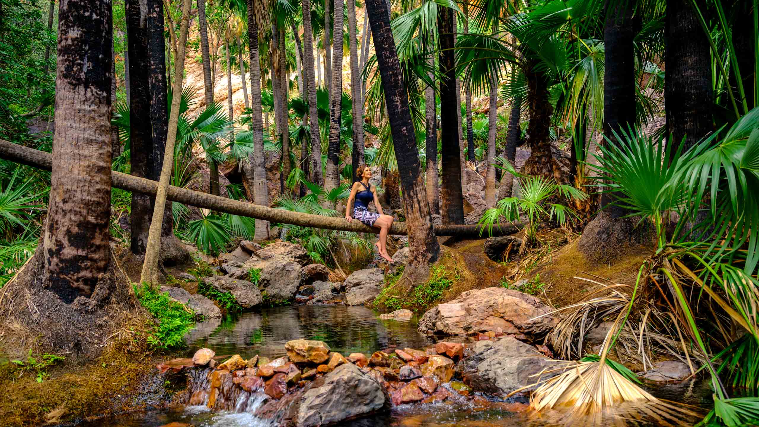 el-questro-homestead-kimberley-Zebedee-Springs