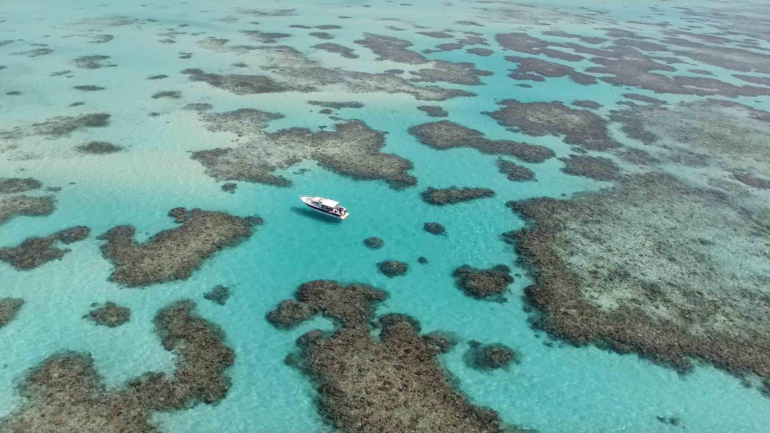 haggerstone-island-resort-queensland-great-barrier-cape-york-Surrounding-Reef