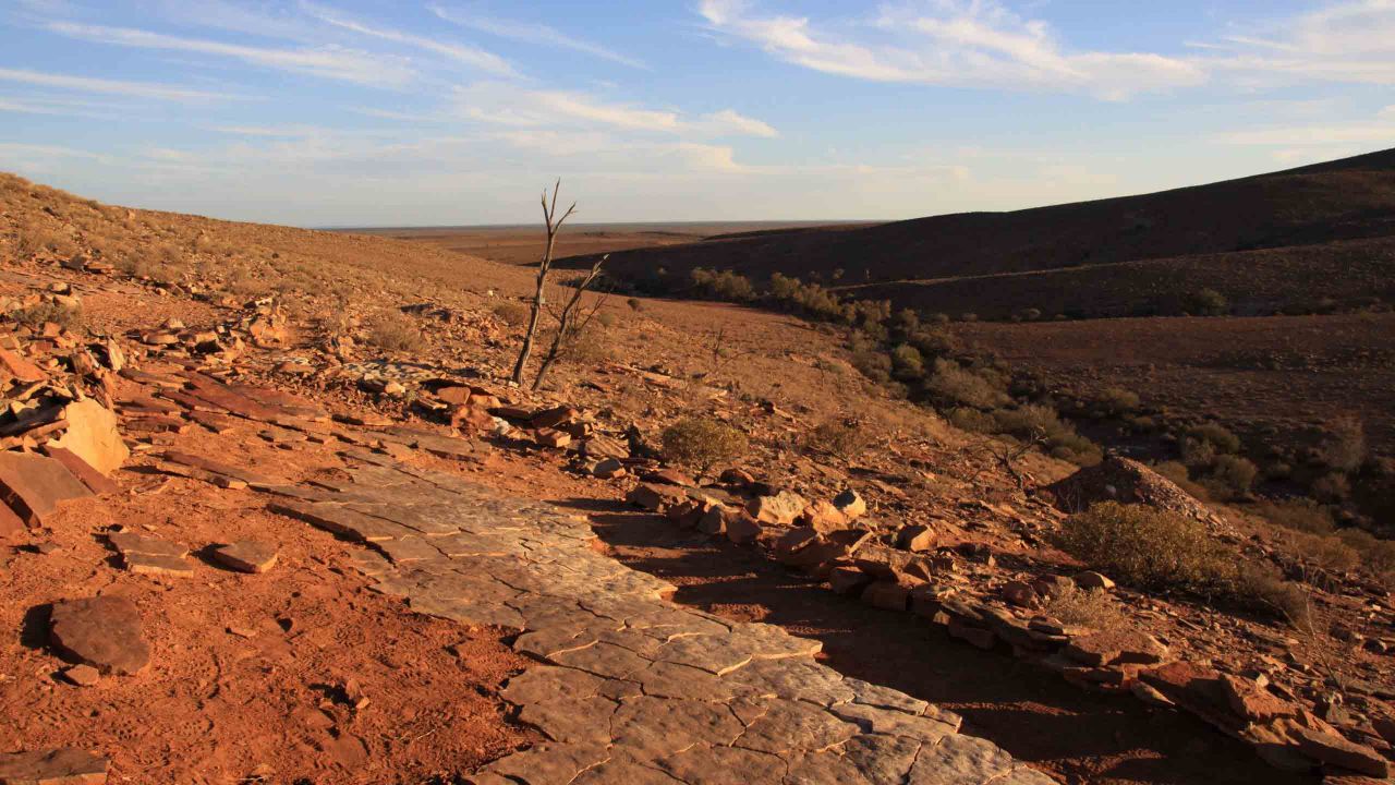 wilpena-station-south-australia-outback-flinders-ranges
