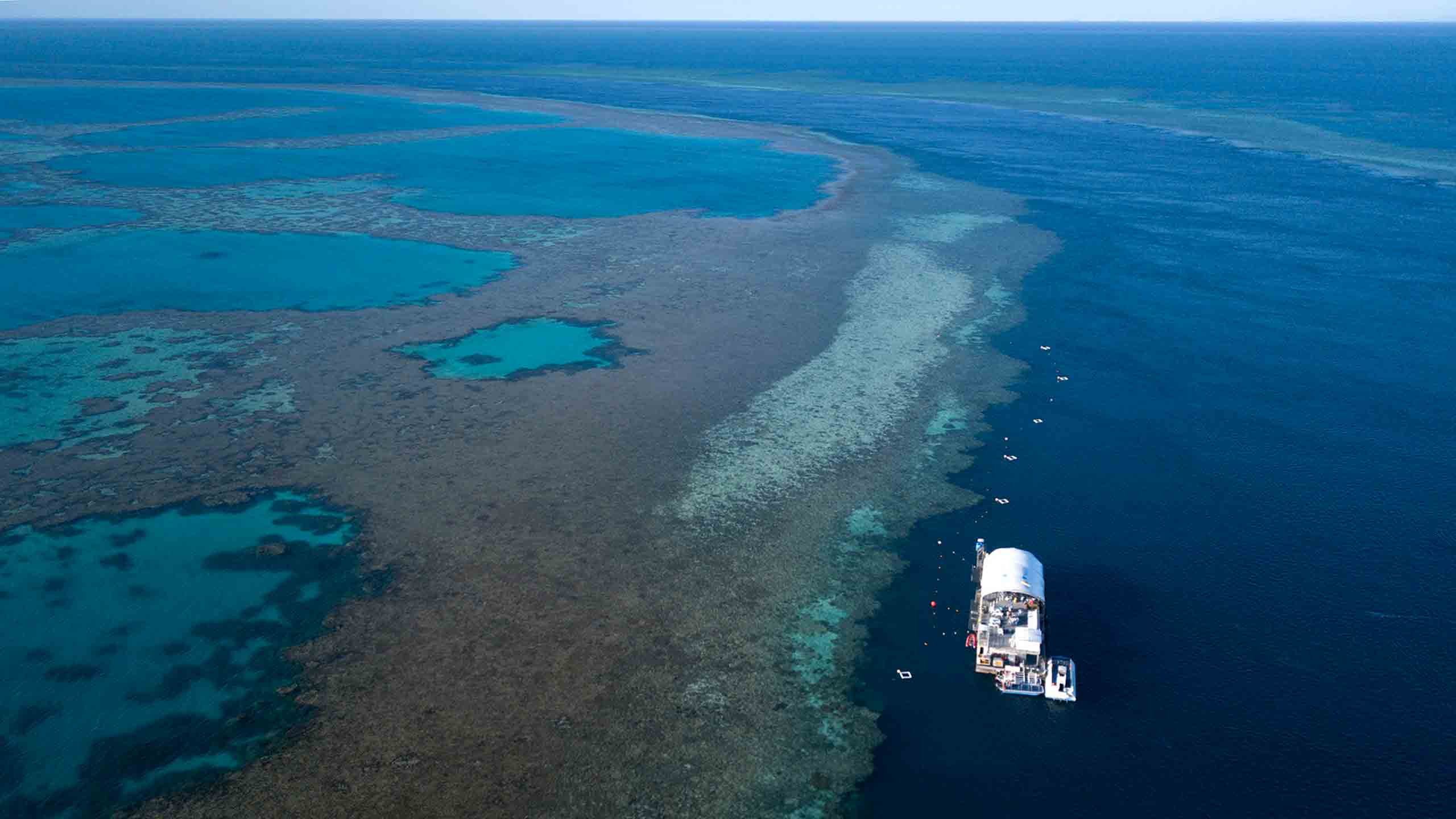 reefworld-Hardy-Reef-Heart-Pontoon-drone-shot