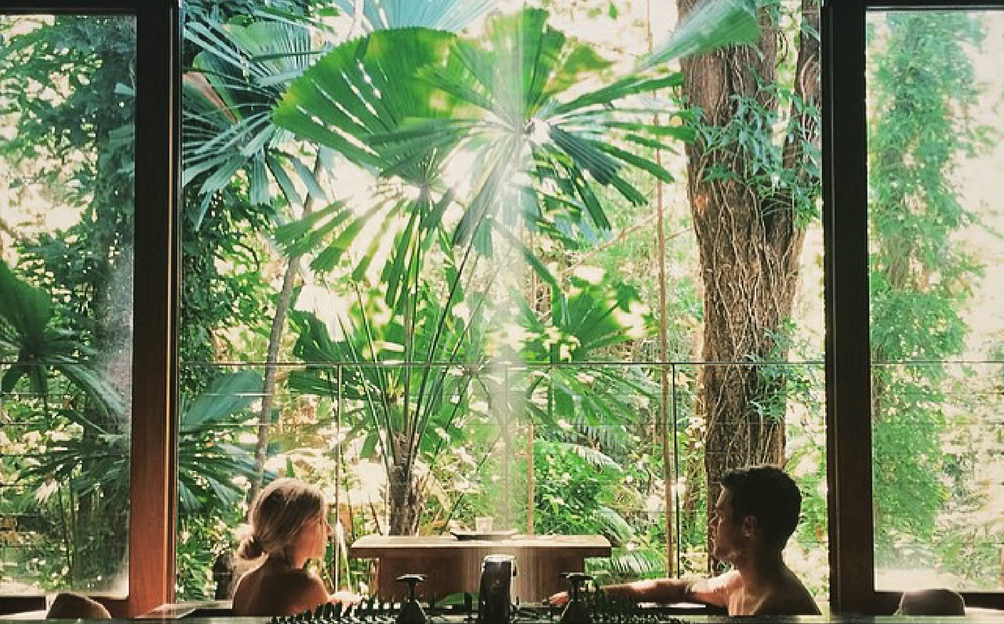 silky-oaks-lodge-luxury-accommodation-australia