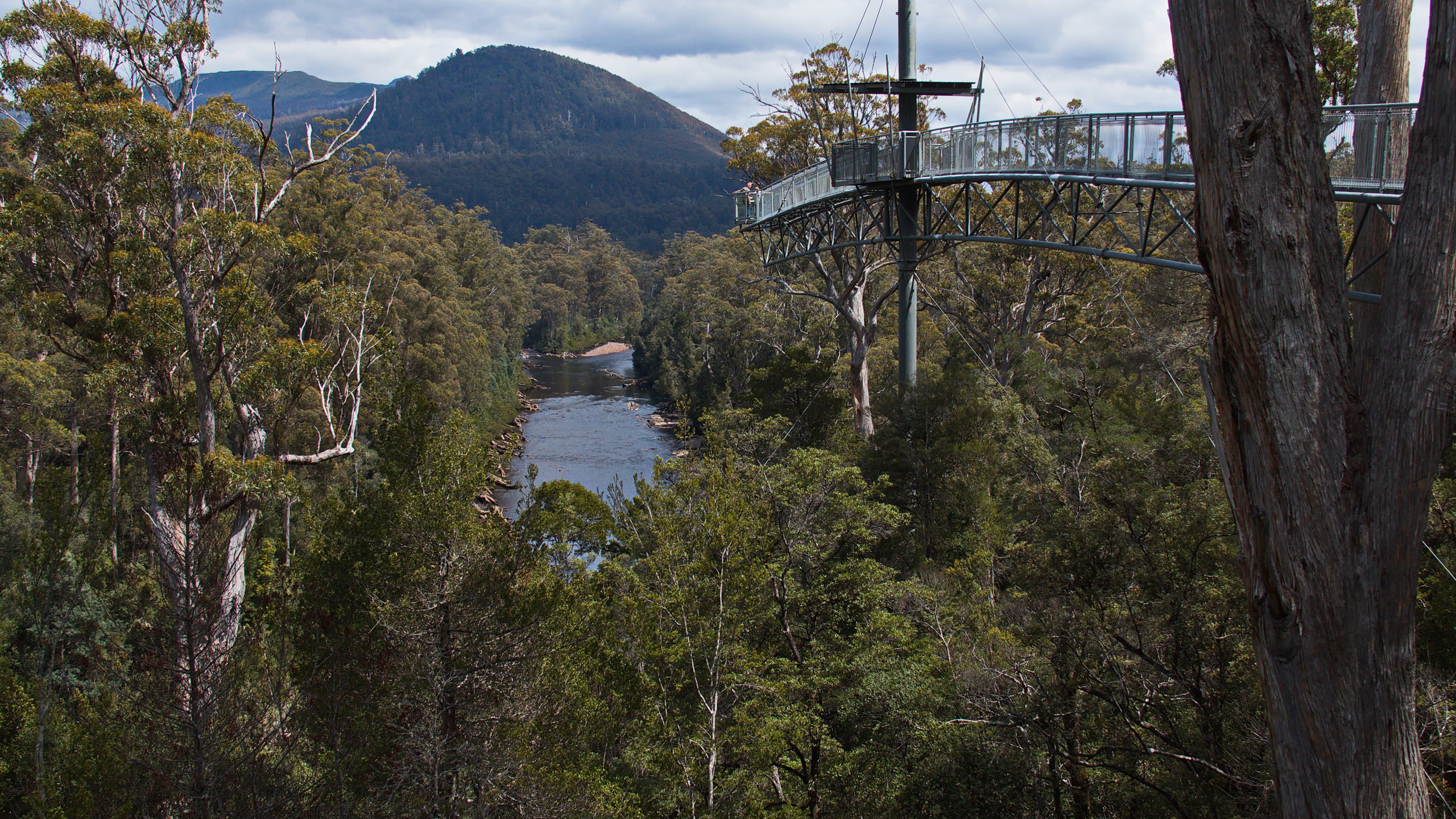 the-peninsula-the-boat-house-dover-tasmania-Tahune-airwalk