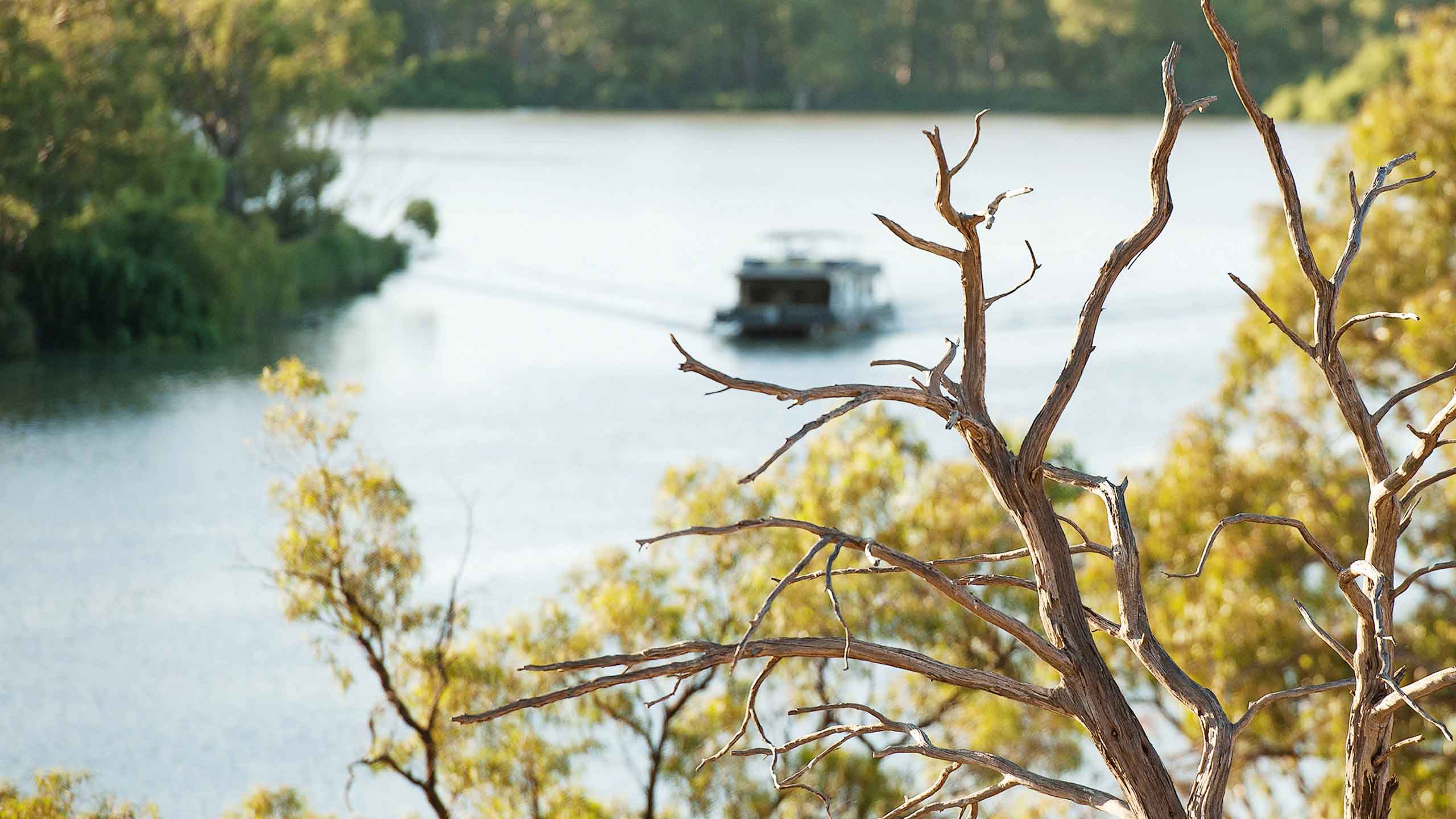 the-frames-murray-river-luxury-view-of-the-murray-river