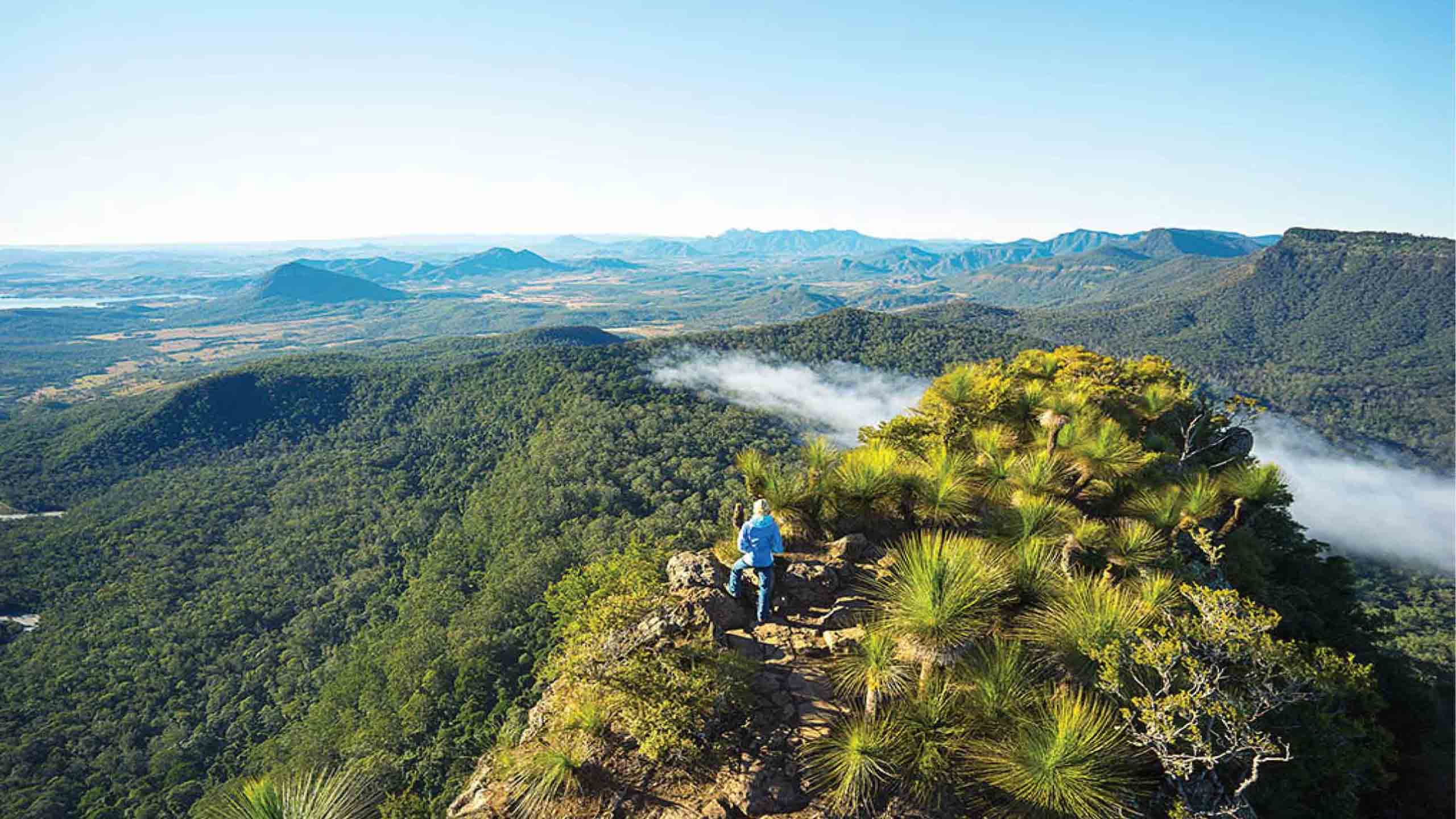 scenic-rim-trail-walk-mt-mitchell-queensland-overnight-hike