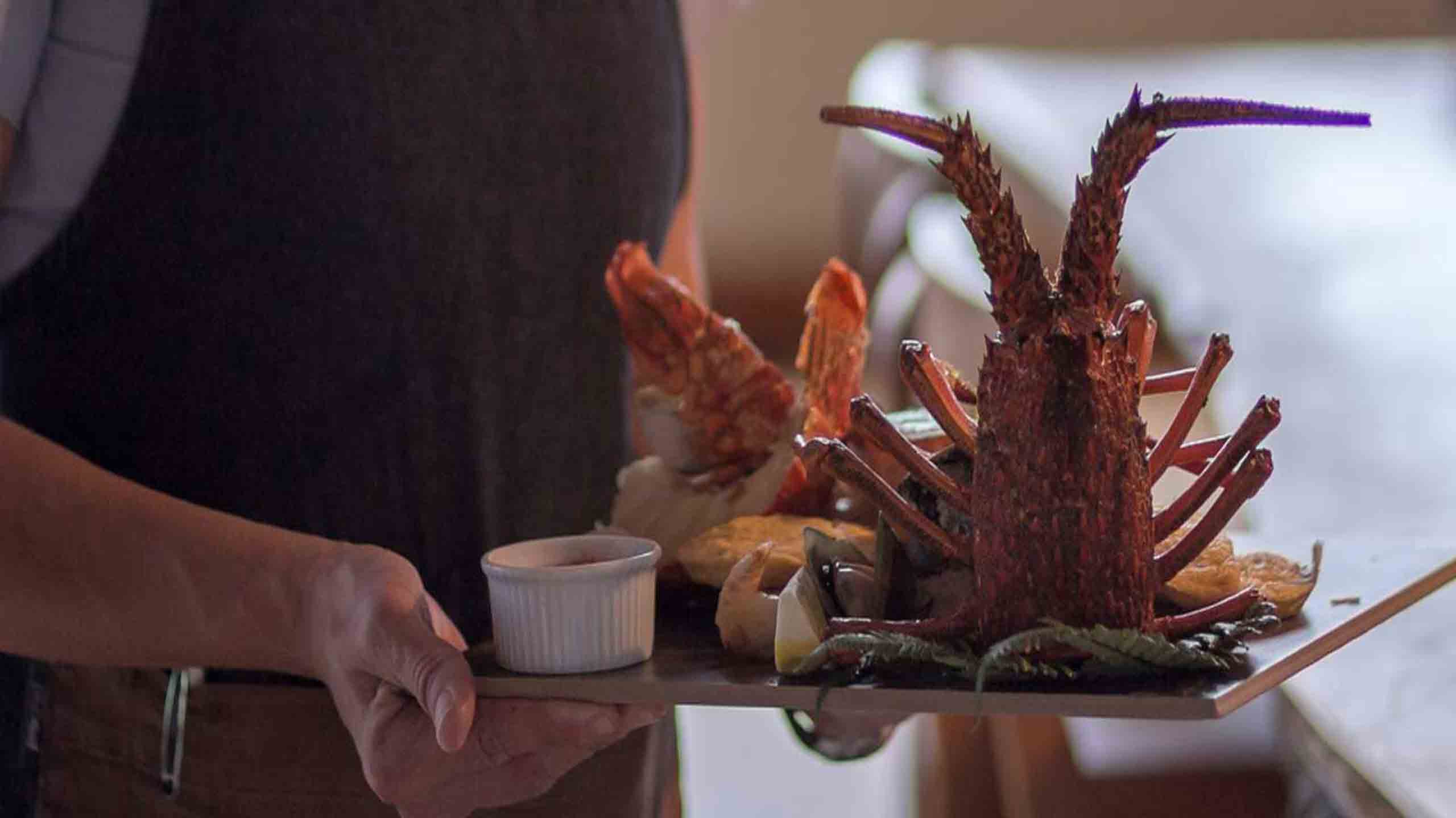 food-wine-Fiordland-luxury-lodge-new-zealand