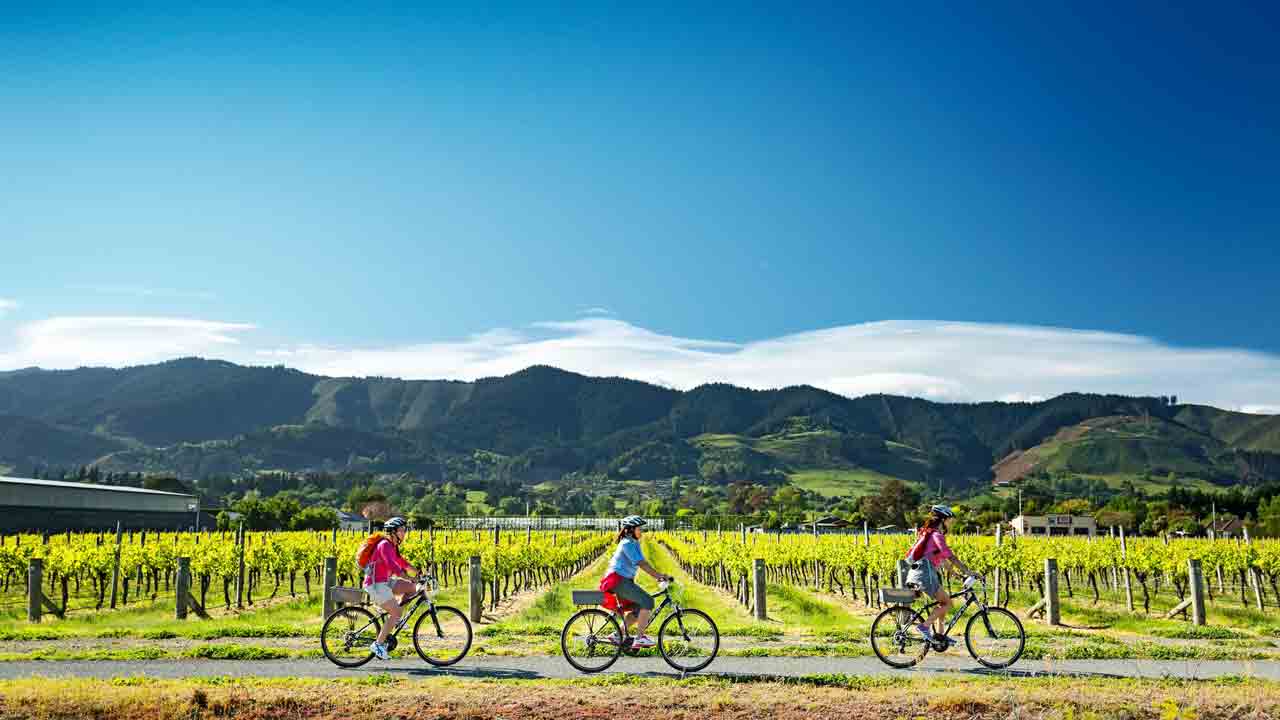 Nelson-cycling-new-zealand