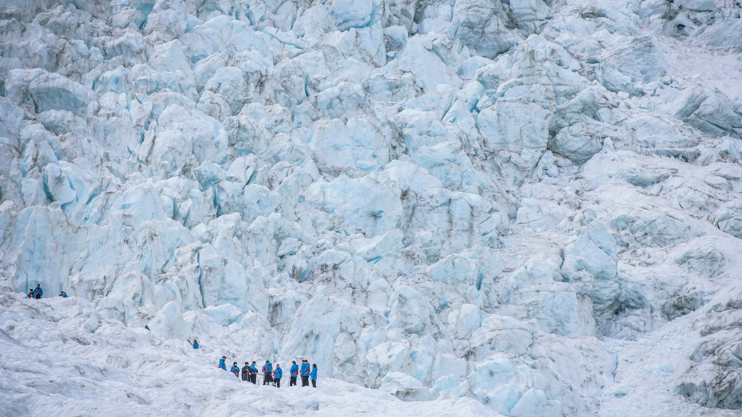 Franz-Josef-West-Coast-new-zealand