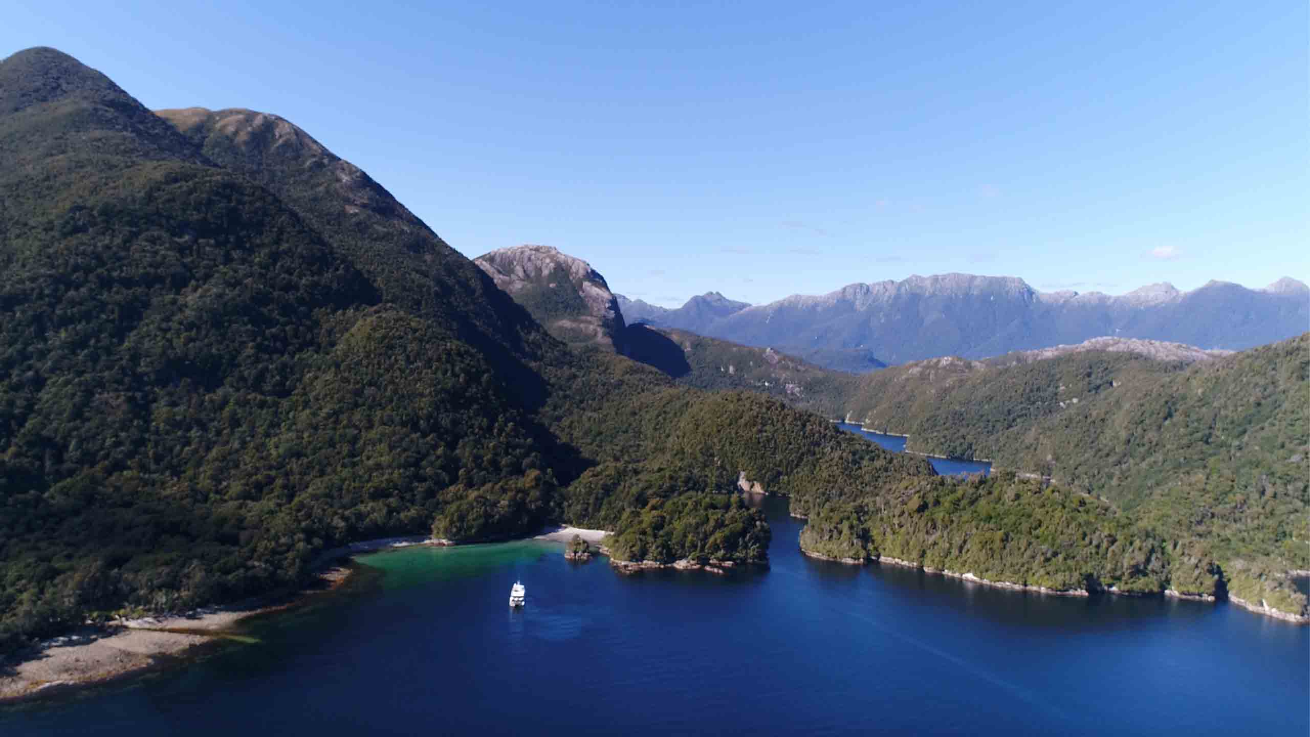 fiordland-jewel-Earshell-Cove-Resolution-Dusky-Sound-new-zealand