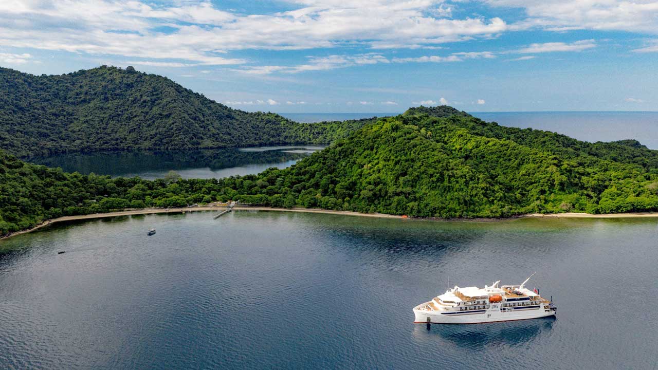 coral-adventurer-amid-nature