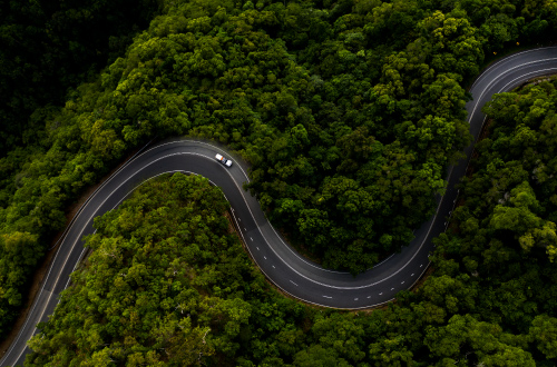 Bloomfield-Track-Scenic-Drive