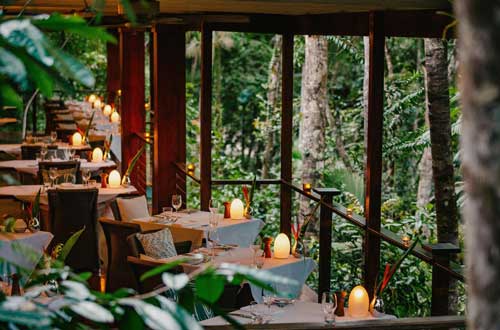Silky-Oaks-Lodge-daintree-queensland-dining