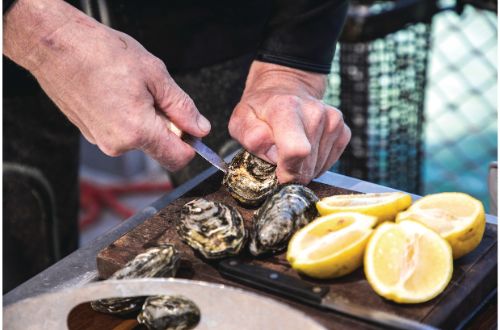 eyre=peninsula-south-australia-smoky-bay-oyster-farm-tour-shucking