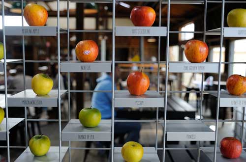 the-apple-shed-tasmania-australia