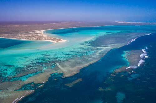 ningaloo-view