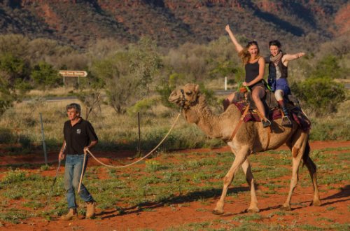 came-farm-red-centre-uluru-northern-territory-australia-ride
