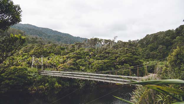 heaphy-track-new-zealand