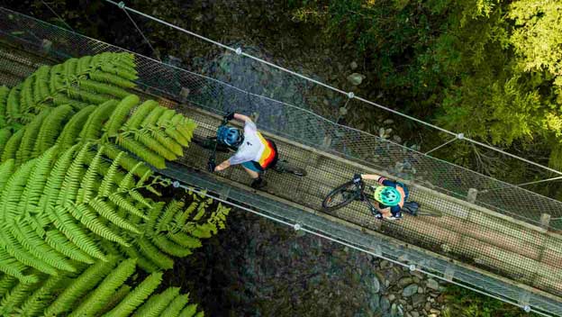 new-zealand-tour-queen-charlotte-track-biking-swingbridge