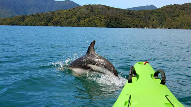 queen-charlotte-track-kayak