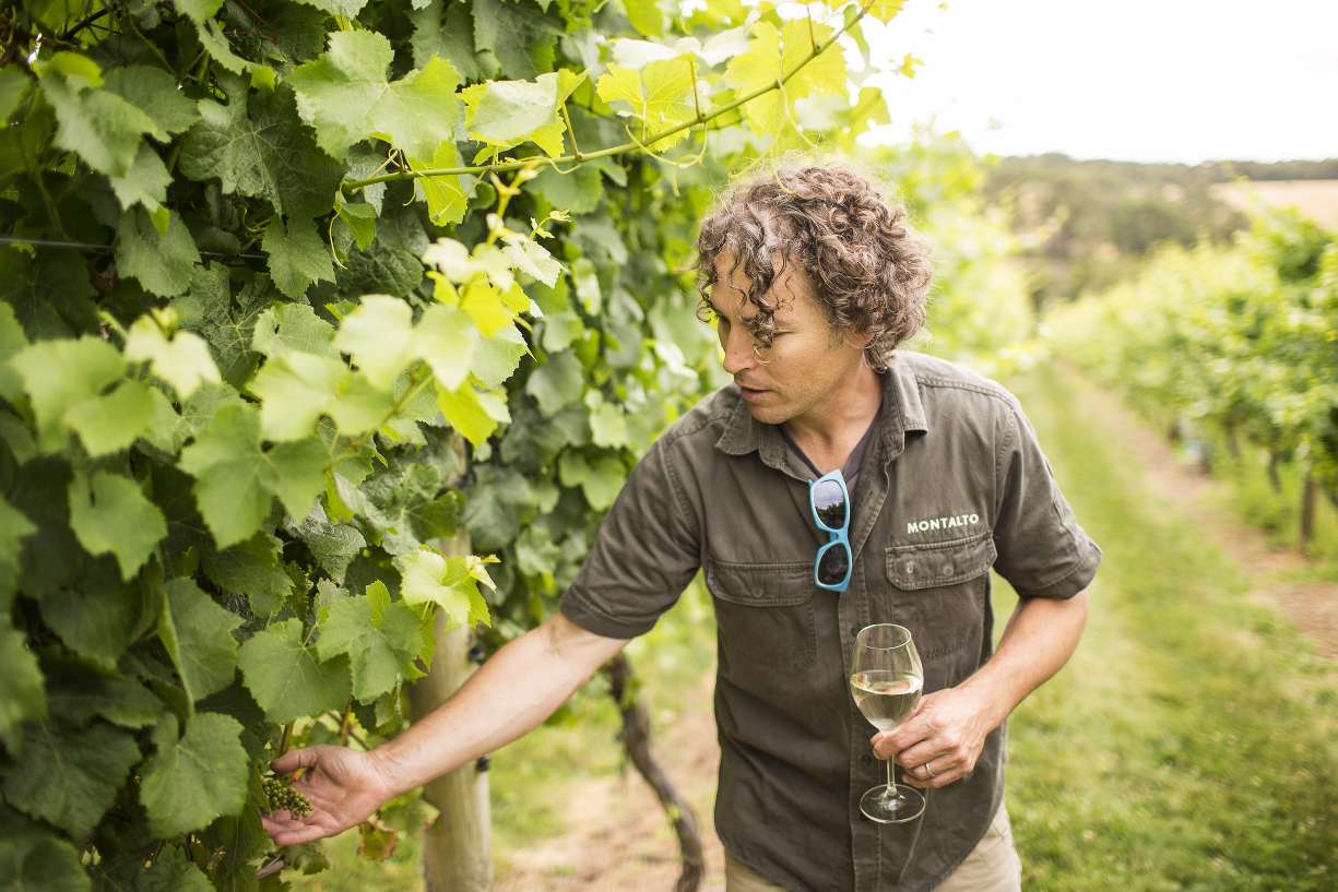 Simon-Black-montalto-australia-winery-winemakers