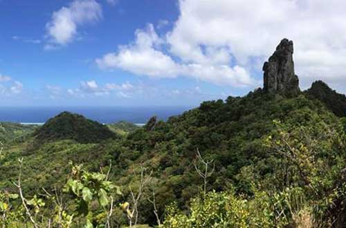Cross-Island-Trek-cook-islands-rarotonga