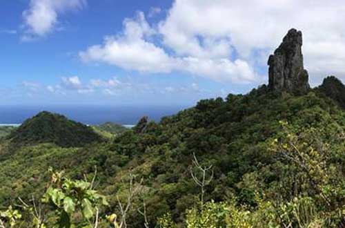 Cross-Island-Trek-the-needle-cook-islands