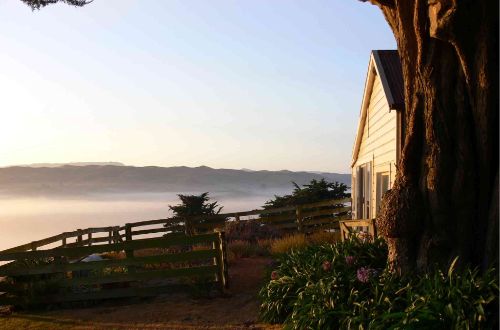 hawkes-bay-trails-luxury-cycling-greenhill-lodge