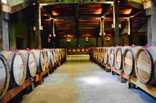 new-zealand-cycling-hawkes-bay-cycling-church-rd-barrel-room