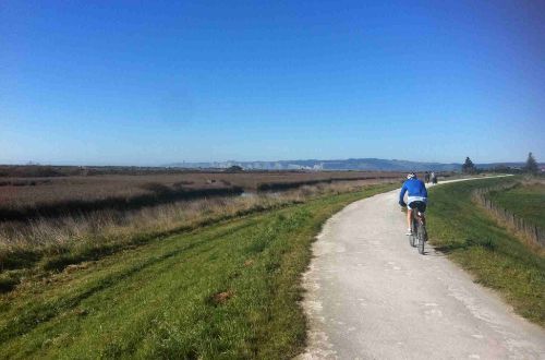 new-zealand-cycling-hawkes-bay-cycling-east-clive