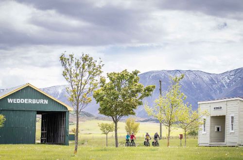 Otago-Central-Rail-Trail-Cycling-Guided-Wedderburn