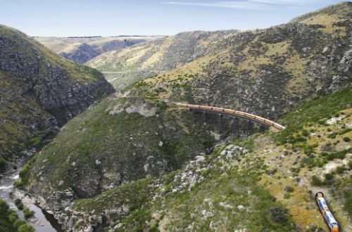 Otago-Central-Rail-Trail-CyclingTaieri-Gorge-Train-Flat-Steam-Bridge