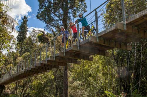 west-coast-wilderness-trail-new-zealand
