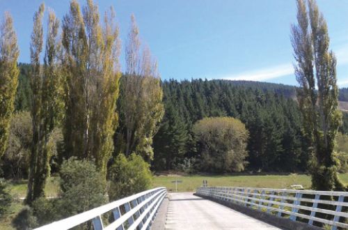 best-great-taste-trail-cycling-tour-nelson-new-zealand-Pigeon-Valley
