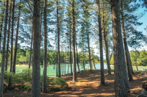 best-great-taste-trail-cycling-tour-nelson-new-zealand-rabbit-island-west